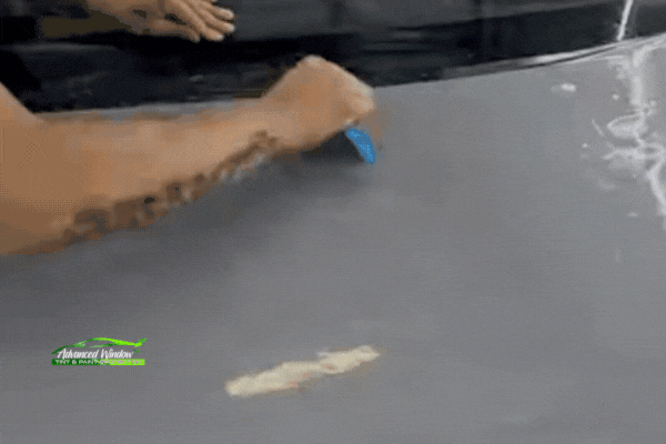 Close-up of technician smoothing paint protection film over a car hood with bird droppings, demonstrating professional PPF installation