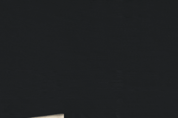 Close-up of a brush rubbing against a car protected by paint protection film (PPF)