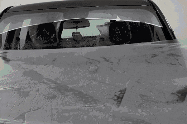 Gloved hands applying ceramic coating to an applicator pad for vehicle paint protection