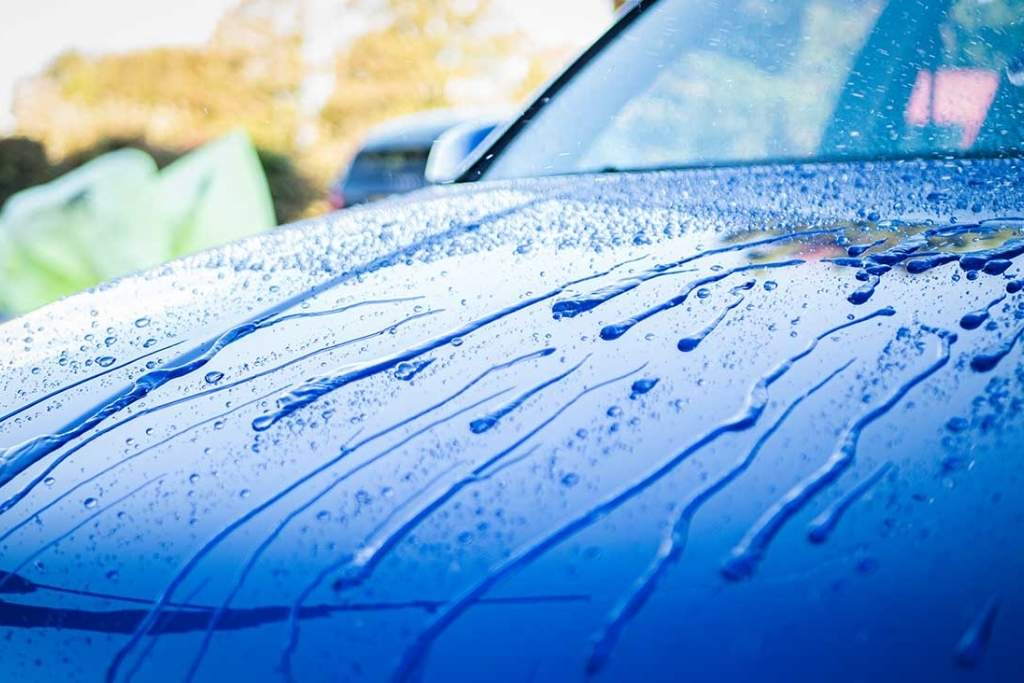 Close-up of water beading on the hood of a blue car, showing tightly formed droplets and smooth water flow, demonstrating the hydrophobic effect of a fresh ceramic coating.